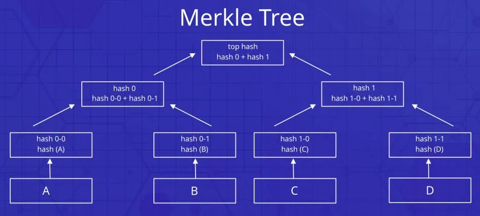 Merkle tree diagram: four data blocks A to D hashed in pairs up to a single top hash
